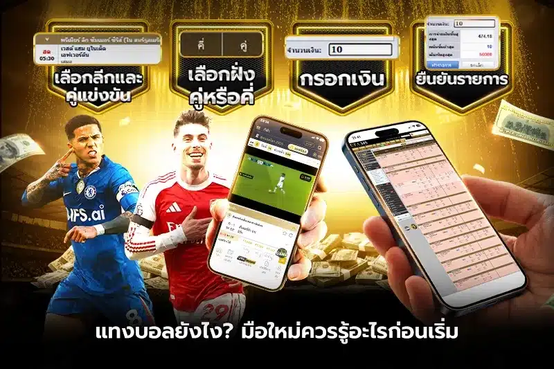 แทงบอลยังไง? มือใหม่ควรรู้อะไรก่อนเริ่ม